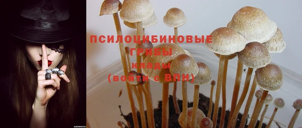 дурь Краснослободск