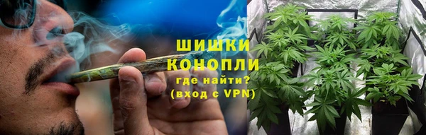 дурь Краснослободск