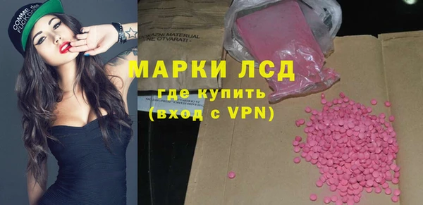 дурь Краснослободск