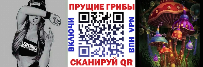 Купить  Приозерск  Псилоцибиновые грибы мухоморы 